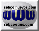 Why not tour our home pages