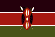 [FLAG]