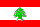 [FLAG]
