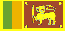 [FLAG]