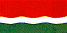 [FLAG]