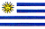 [FLAG]