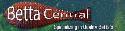 Betta Central