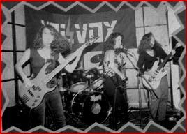 Volvox