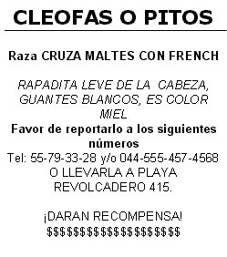 Se busCAN