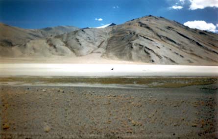 Sandflats eneh.