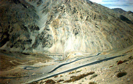 Gata loops.