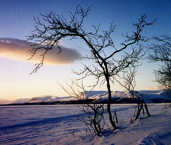 Kilpisj�rvi