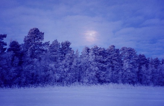Kuivasj�rvi, Oulu