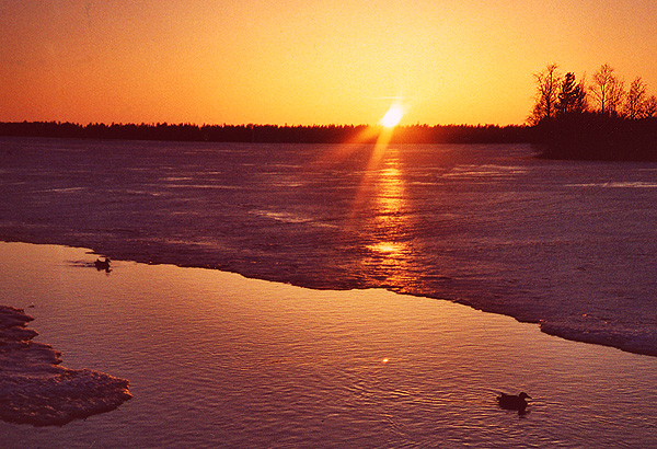 click here to visit spring gallery