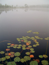 Click to visit Rovaniemi 2004 gallery