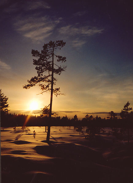 Ounasvaara, Rovaniemi