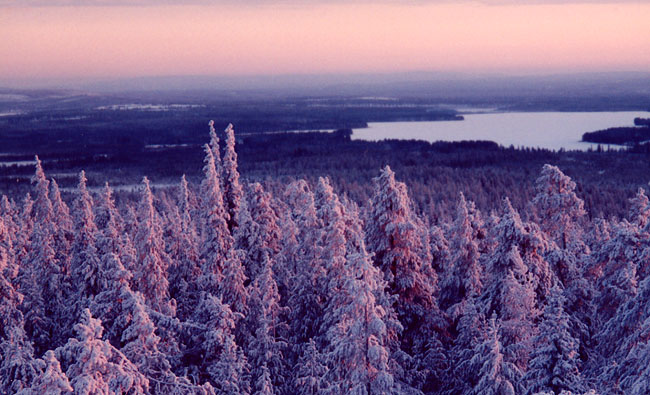 click to visit winter gallery - new pictures uploaded 7.3.2004