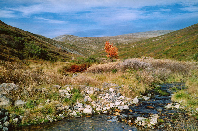 click to visit autumn gallery - updated 28.10.2003