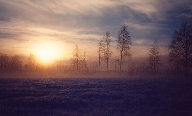 Saarela, Oulu