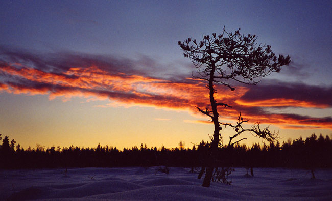 Siiposuo, Oulu