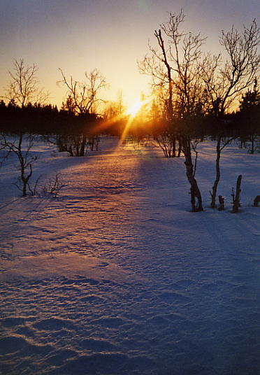 Saariselk�