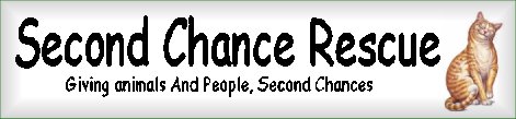 Second Chance Sanctuary