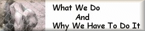 Information On What We Do