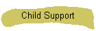 Child Support