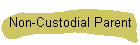 Non-Custodial Parent