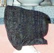 drawn.gif (10883 bytes)