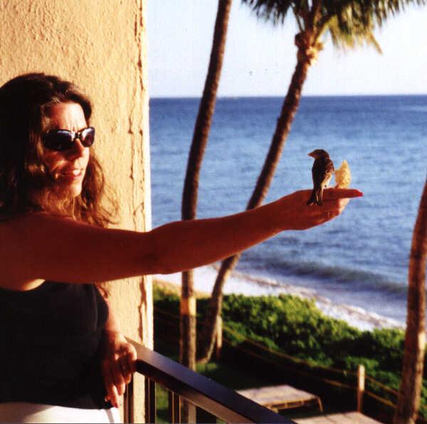 kellybird.jpg (46019 bytes)