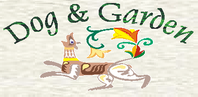 celtic garden dog image 28K