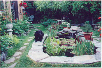 dog beside pond 128K