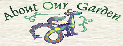 celtic dragon image 25K