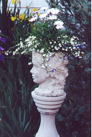 2 faced planter 80K