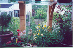 inside the gardenhouse looking out 71 K 