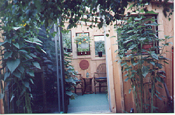 jungle view into the gardenhous 67 K