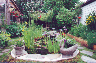 pond 2000 182K