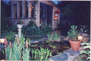 pond at night 94K