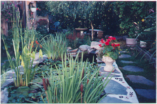 pond full of plants 100K