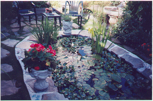 pond with plants 95K
