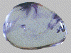 fluoriet.gif (7393 bytes)