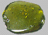 peridoot-olivijn.gif (4467 bytes)