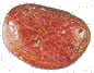 robijn.gif (5408 bytes)