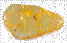 goudtopaas.gif (5214 bytes)