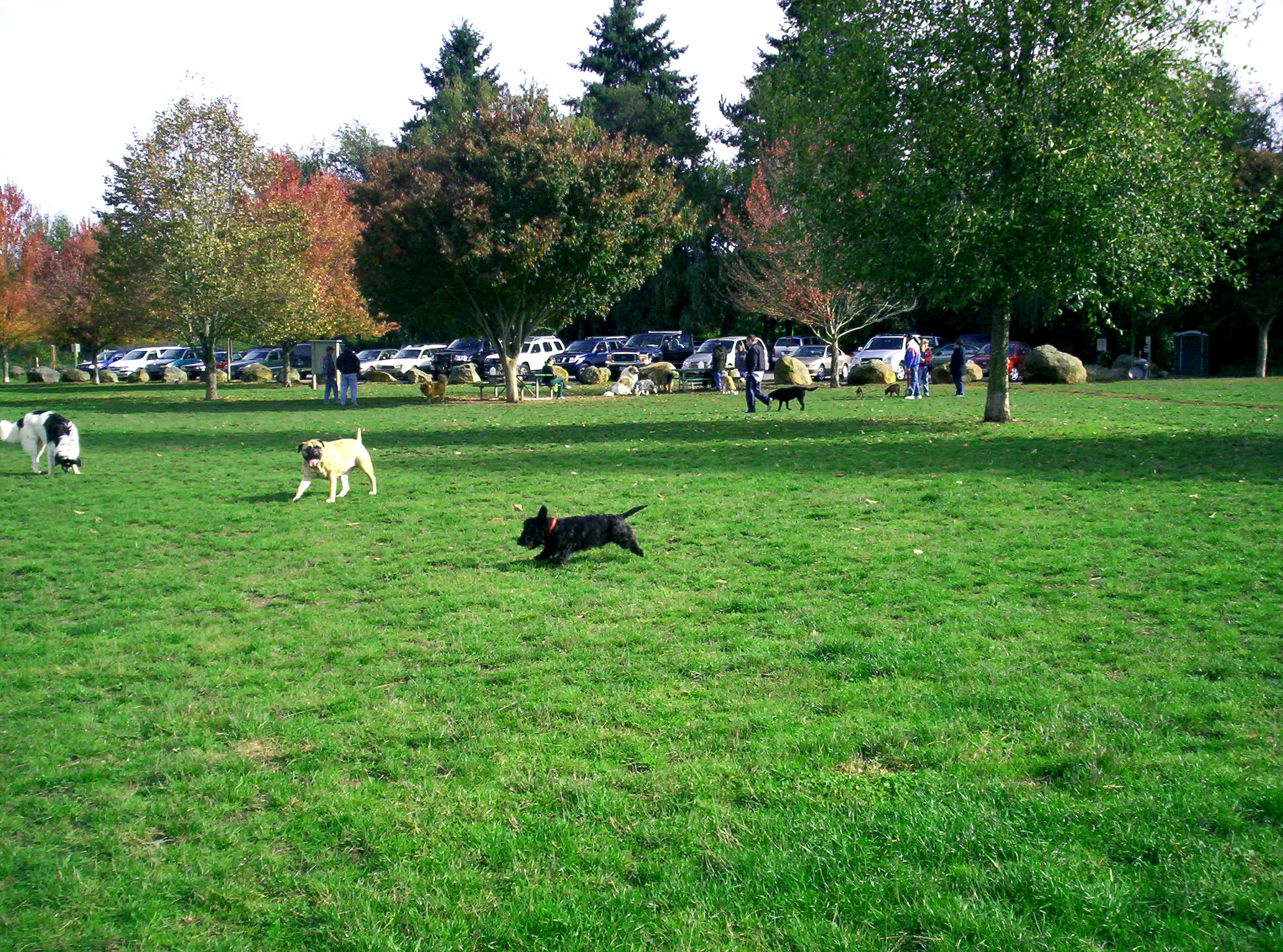 100_6704.jpg