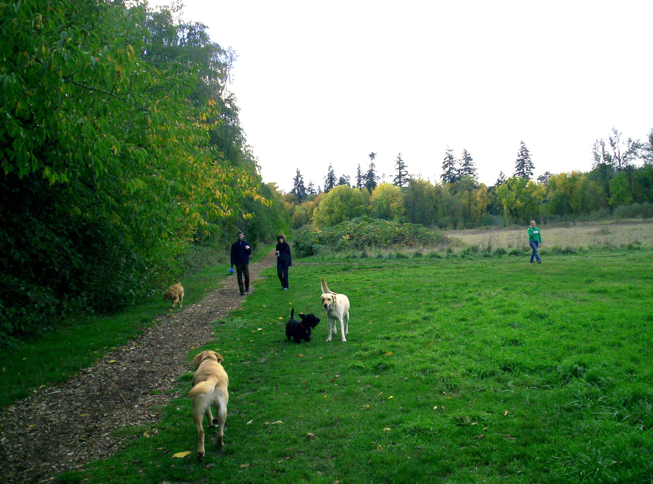 100_6727.jpg