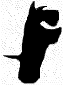 animated scottie.gif (10592 bytes)