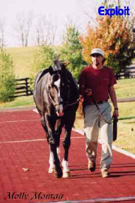 Molly M. Montag Photo