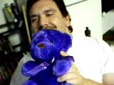 The bear sez hi!