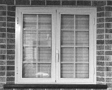 windows1.gif (21133 bytes)