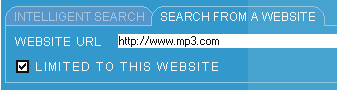 Search from a specified website 