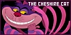 Fansite for the Cheshire Cat!