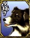 Angelo